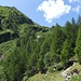 Jetzt geht es hinauf zur Alpe Stavello /<br />Adesso ascendere al' Alpe Stavello<br />