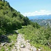 Il comodo sentiero Alpe di Neggia - Capanna Tamaro