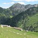 ritorno all'Alpe Geccio