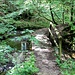 wir haben den Wanderweg wieder getroffen