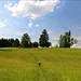 unterwegs auf schönem Wiesenpfad