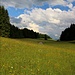 Hüttchen im Gras (fast) versunken
