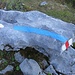 Der Pfad von Gitschen nach Rotenbalm hat blaue Markierungen und der offizielle Bergwanderweg die w-r-w. Hier verlaufen beide Parallel deshalb die etwas komische Markierung.