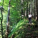 unterwegs auf schönem Waldsteig hoch über der Ammer
