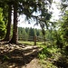 Start über leichte Bergwege