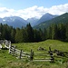 ..erste Alm