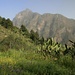 beim Abstieg von Los Brecitos mit Blick zum Pico Bejenado