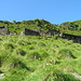 Alpe Voièee