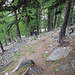 nel bosco oltre la grossa frana
