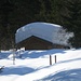 gut 2 m Schnee trägt die arme Hütte auf 1050 m Ende März