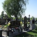 Friedhof in Gorjany/Uschgorod
