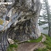 Das der Berg nicht ungefährlich ist, beweisen die zahlreichen Gedenktafel bei der Abzweigung zum Westgrat Klettersteig auf den Pfaffenstein