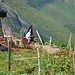 Piratenhühner auf Oberzanai Säss