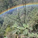 Regenbogen über dem Lorbeerurwald Los Tilos