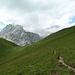 Gatterlköpfe und Plattspitzen