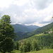 der Guffert