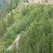 tiefe Schlucht auf dem Weg nach Valepp