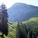 Alphütte Brunni vor dem Morgenberghorn