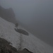 Winterbaer im Nebel auf einem Schneefeld<br /><br />Il Winterbaer nella nebbia su un nevaio