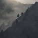Nebelstimmungen an den Krähenhängen<br /><br />Atmosfera di nebbia sui pendii della Krähe