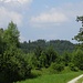 kaum zu glauben , ein bewaldeter "Berg" zwischen Freising und Moosburg, mit mehr als 40m relativer Höhe