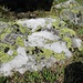 Diese grünweisse Kombination findet man überall in der Gegend. Die schneeweissen Steine sehen im Sommer wie Schneereste aus