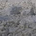 mastodontici cubi di neve di circa 1,50 metri