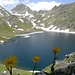 Wilder See und Blickenspitze  oder Cima di Vista (2988m), in wunderschönen Pfunderer Bergen.