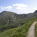 In Abstieg zur Labisebenalm,ins wunderschönen Seebach Tal,Domenarspitze,2718m-links im Bild.