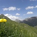Sommer in den Pfunderer Bergen, mit Ehrenpolspitze(2774m)-links,Wurmaulspitze(3022m)-mitte und Rotwand(2939m)-rechts. 