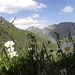 Sommer in den Pfunderer Bergen, mit Ehrenpolspitze(2774m)-links,Wurmaulspitze(3022m)-mitte und Rotwand(2939m)-rechts.