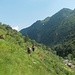 "Sentiero" per le Alpi Sogno