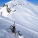 Fürstein - mit unseren Auf- und Abstiegsspuren (Ski und Schneeschuhe)