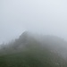 Die Grashalde, die auf den Raaberg-Ostgipfel führt, vom Vorgipfel aus gesehen. Auf diesem [http://www.hikr.org/gallery/photo1142013.html?post_id=66818#1 Bild] ist die Grashalde ohne Nebel, aus leicht anderer Perspektive, zu sehen.