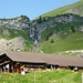 Alp Suls