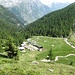 Alpe di Pozzo