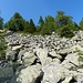 Ultime pietraie prima dell'Alpe Nara.