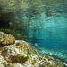 Dora di Ferret, underwater