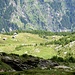 In basso l' Alpe di Sceru 