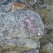 Ab und zu trifft man auf violette Markierungen am Fels