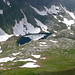 Lago di Pojala