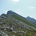 Vom sogenannten "Schönfleck" (Markierungsstange) auf etwa 2200m ist es noch eine knappe Stunde zum Gipfel des Gleirsch