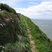 Au point culminant du Pembrokeshire Coast Path (175m)