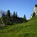 Aufstieg zur Alp Aueren Oberstafel, im Hintergrund Glärnisch Ruchen