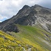 Was für ein Kontrast: die traumhaft blühende Blumenwiese und die dunkle, abweisende Gestalt des Lenzer Horns. <br />(Die Szenerie erinnert an Frodos Marsch nach Mordor)