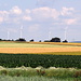 Der Windpark von Wallnsdorf am Horizont