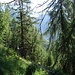 Abstieg durch den Wald nach Piano di Peccia