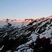 Alpenrose und Morgenrot