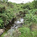 Der Bach Becka Brook in der Senke zwischen Holwell und Haytor Rocks.