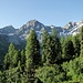 In der Mitte Piz Bial, rechts Piz d'Alp Val, links vom Bial die Fuorcla Biala (vom Val Tschitta aus gesehen)